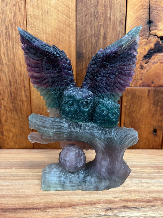 Fluorite Owls (888g)