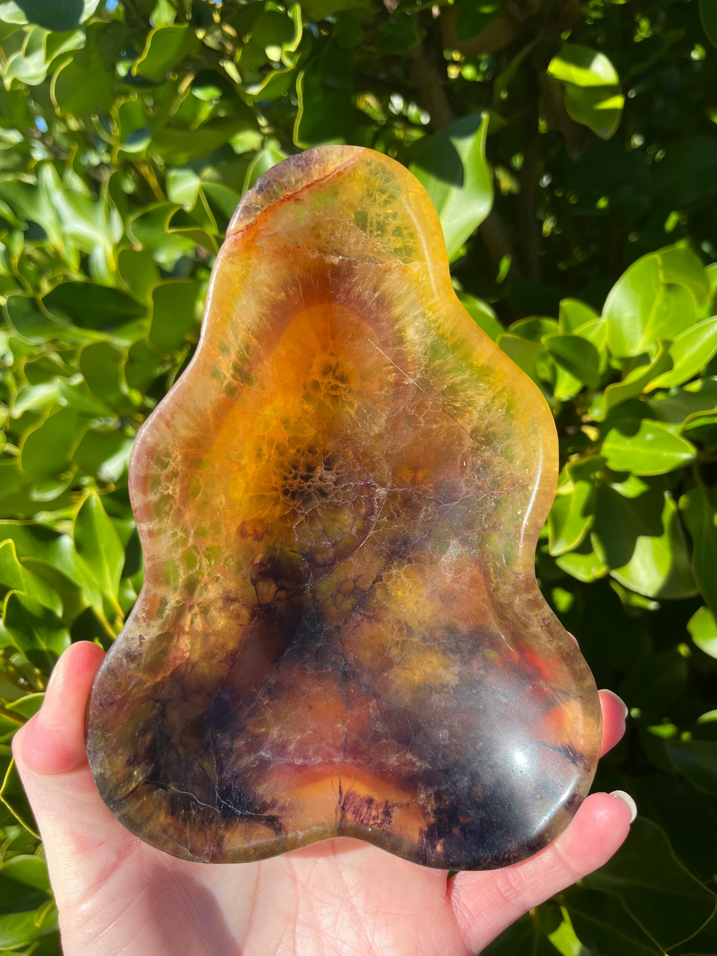 Fluorite Dish (729g)