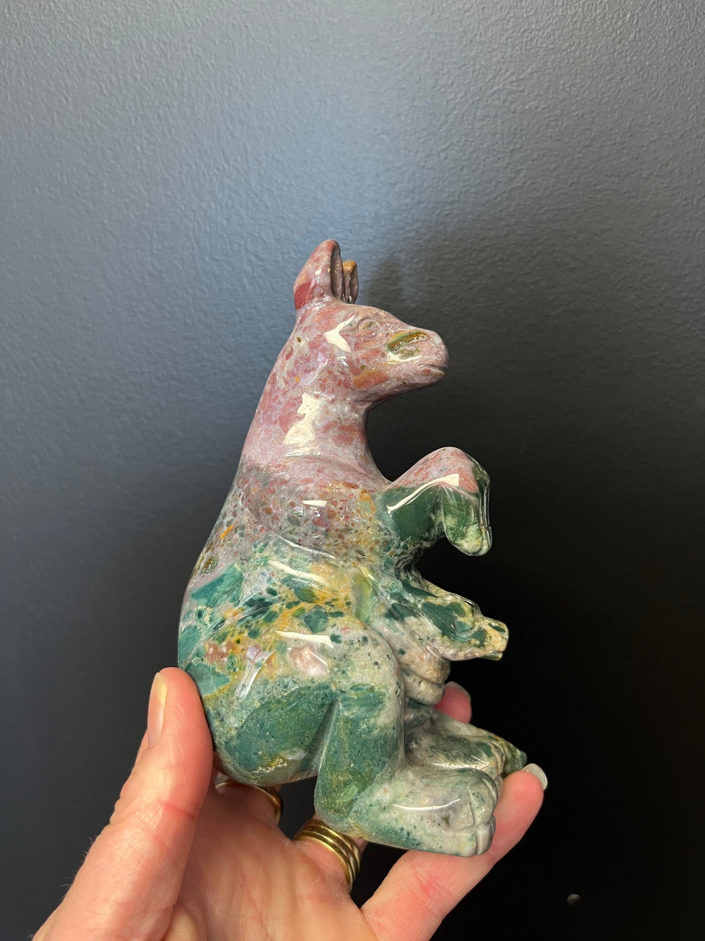 Ocean Jasper Kangaroo (542g)
