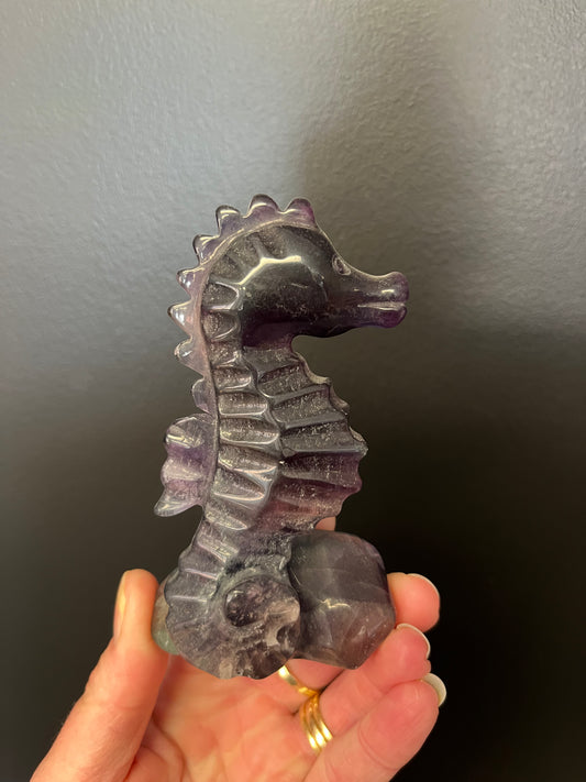 Fluorite Seahorse (168g)