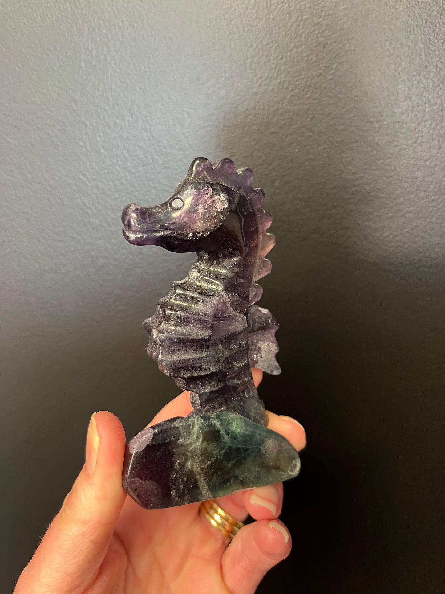 Fluorite Seahorse (168g)
