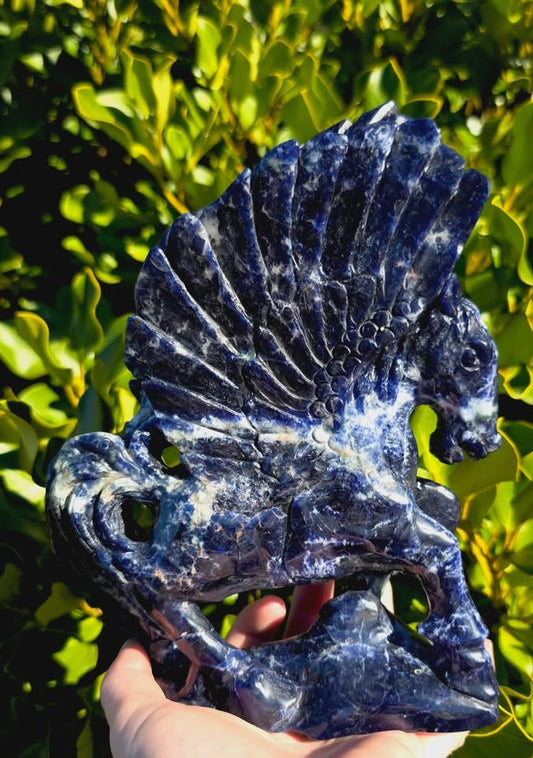 Sodalite Winged Horse (1054g)