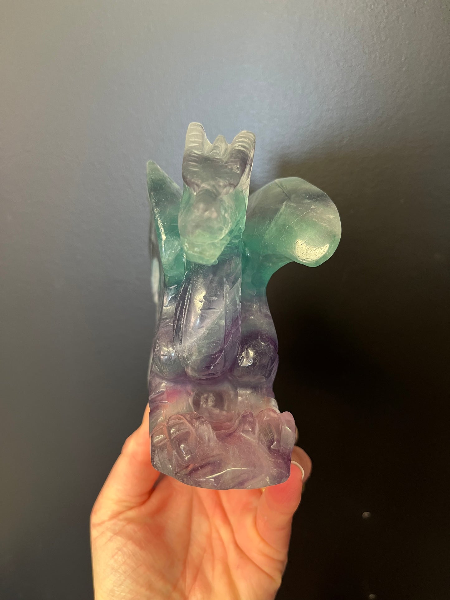 Fluorite Dragon (1202g)