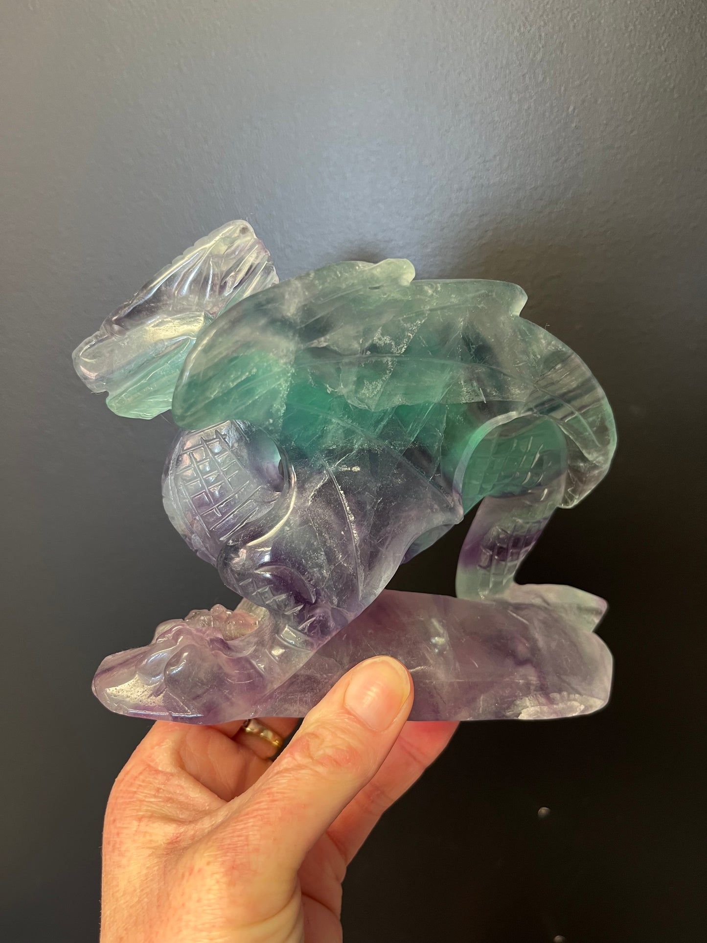 Fluorite Dragon (1202g)