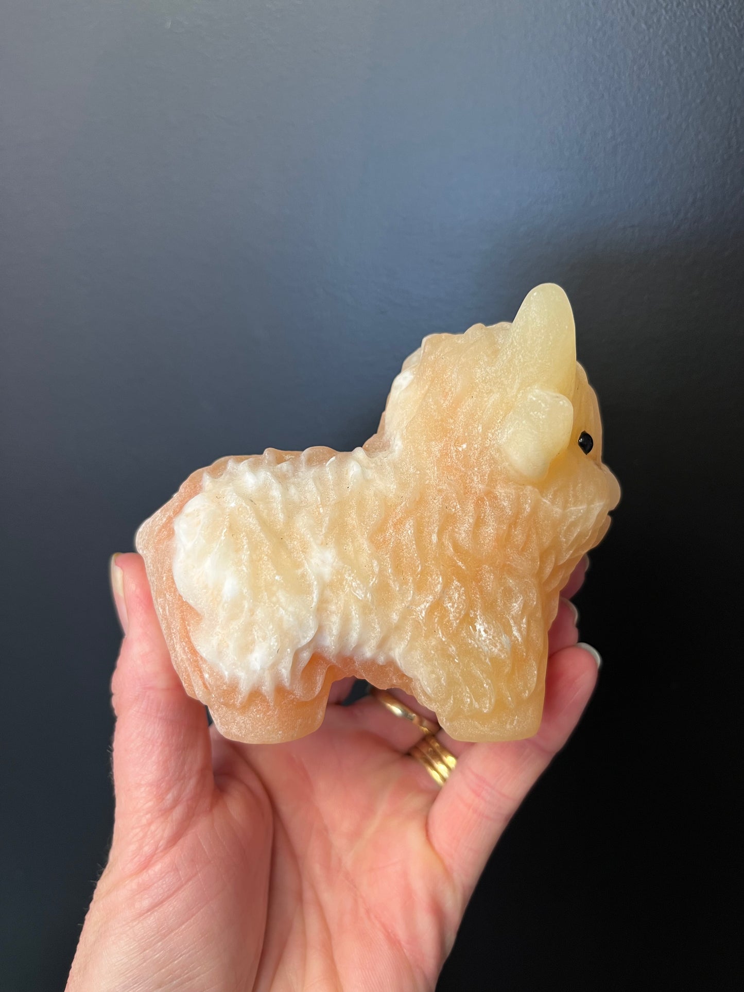 Orange Calcite Highland Cow (530g)