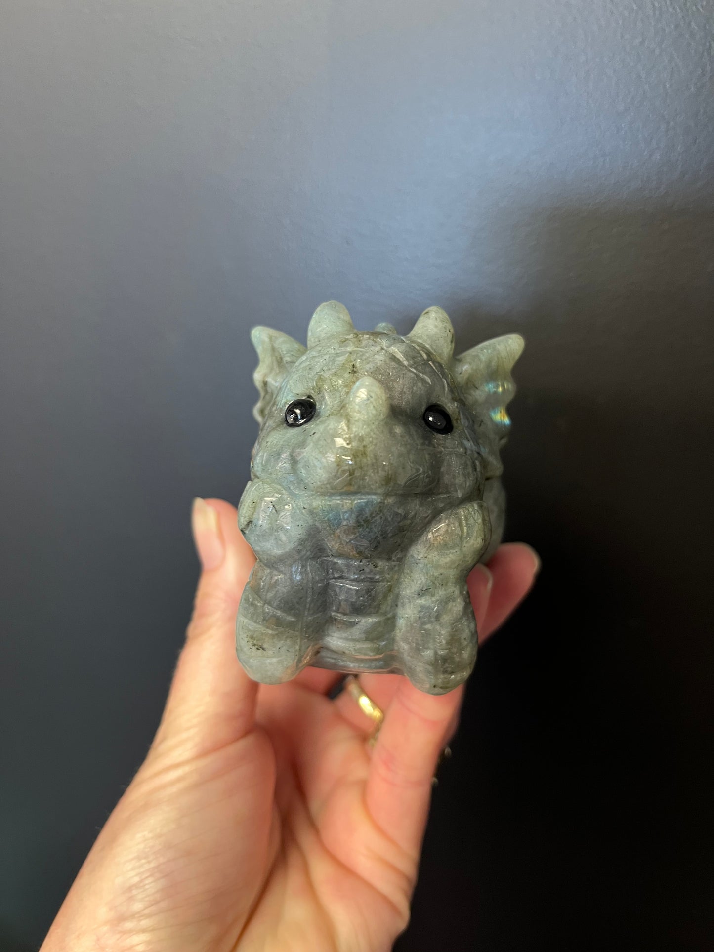 Labradorite Dreamy Dragon (480g)