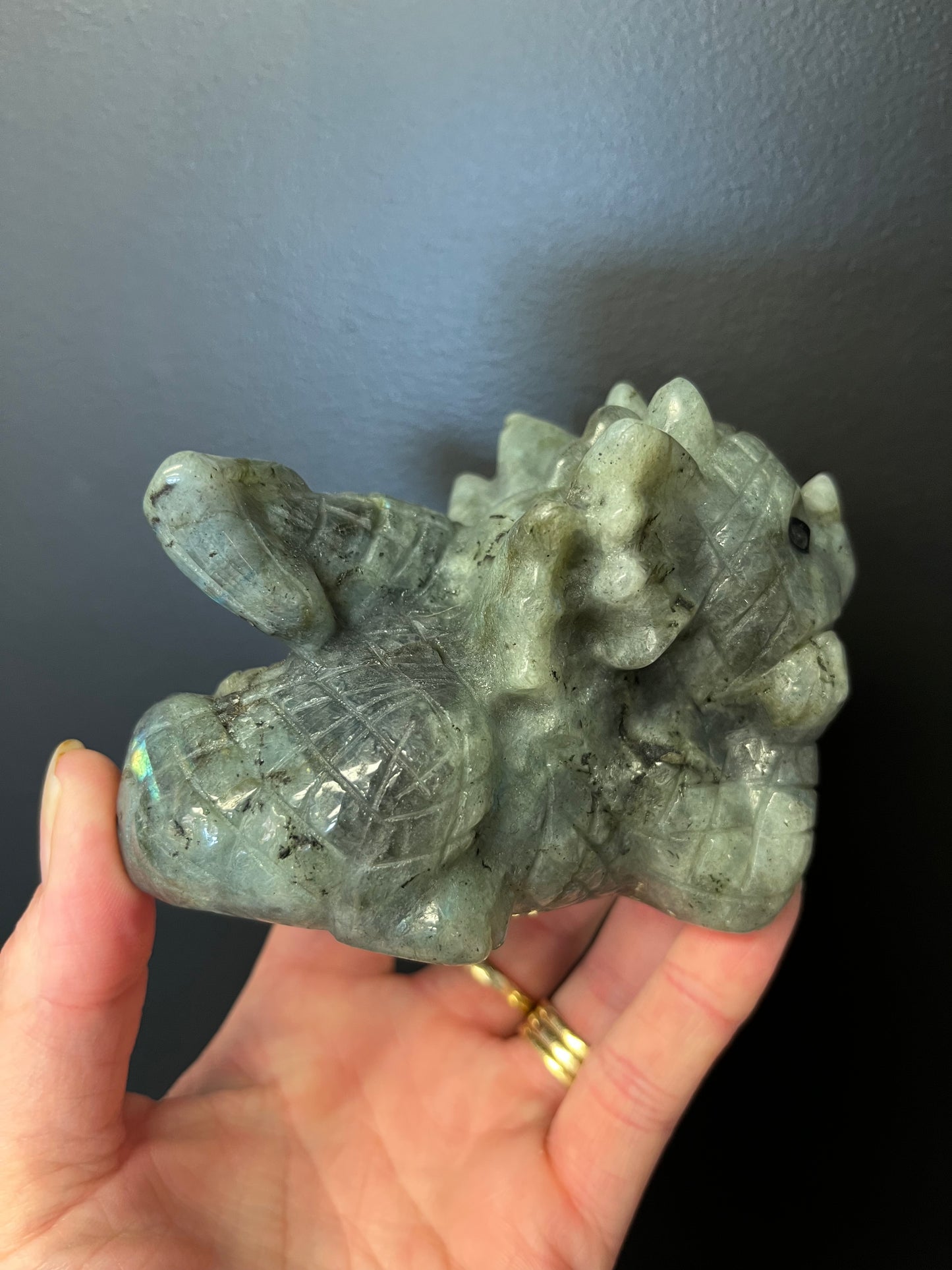 Labradorite Dreamy Dragon (480g)