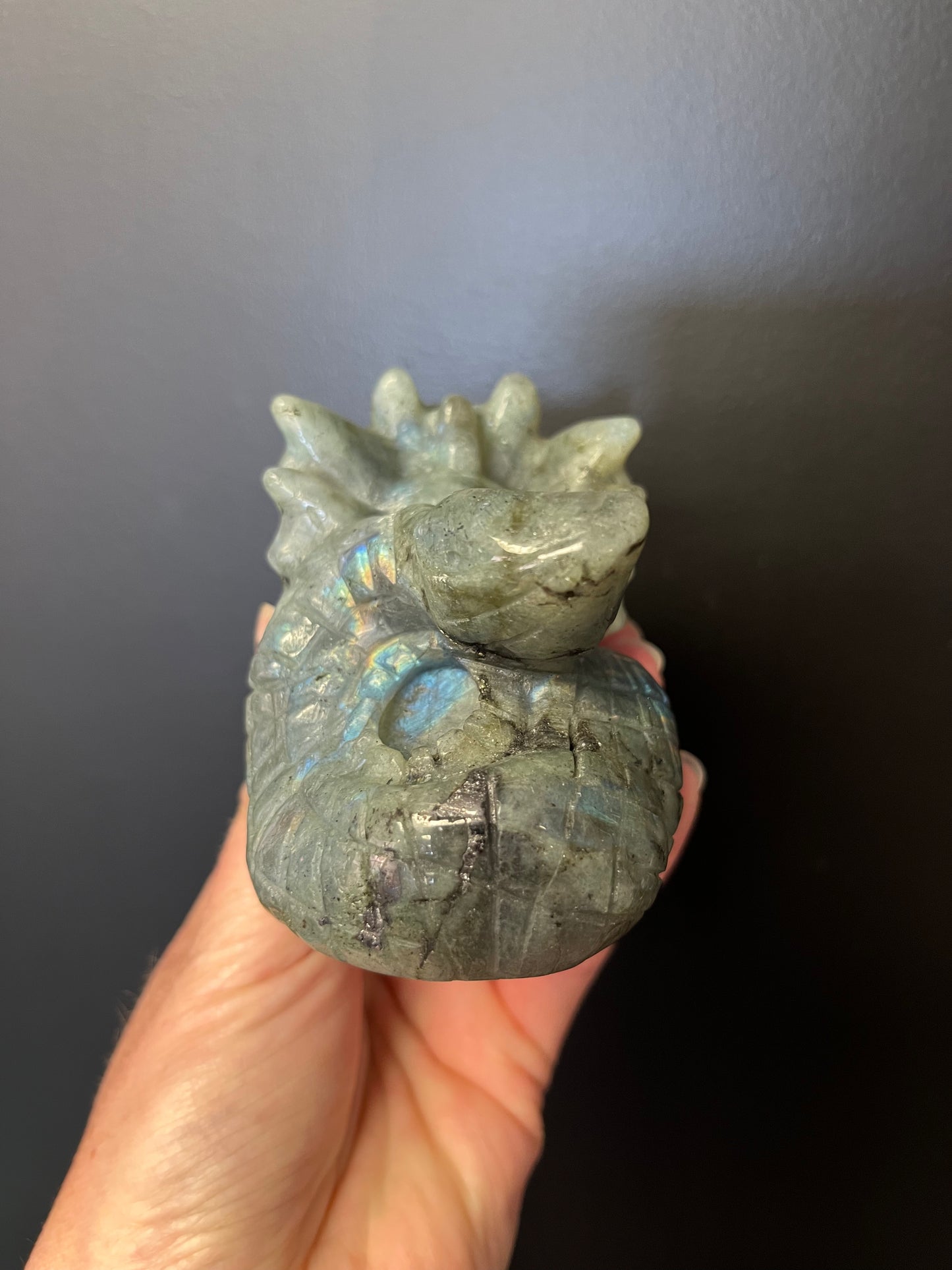 Labradorite Dreamy Dragon (480g)