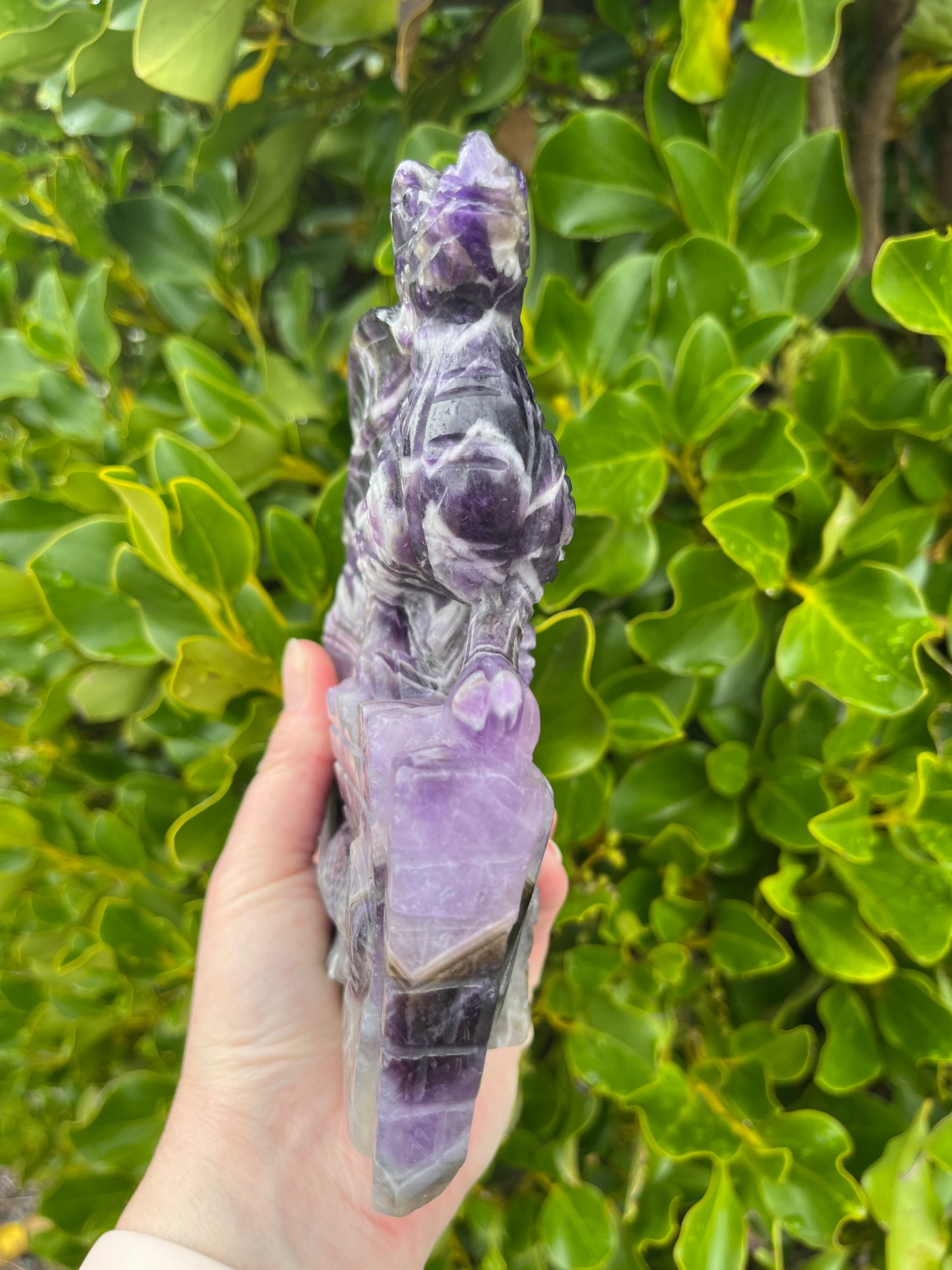 Chevron Amethyst Dragon (1100g)