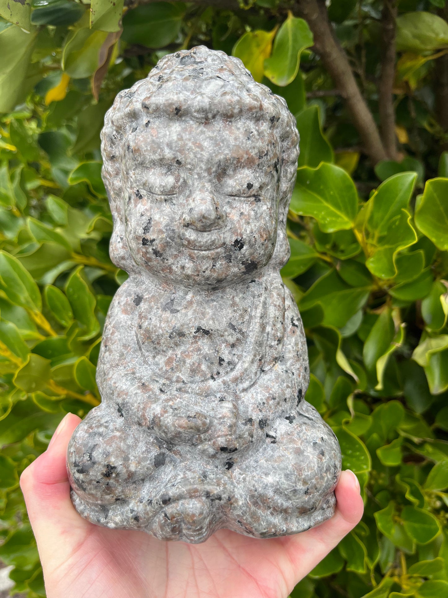 Yooperlite Buddha (2.5kgs)