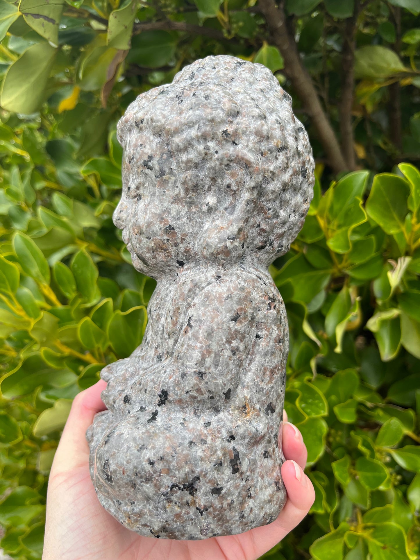 Yooperlite Buddha (2.5kgs)