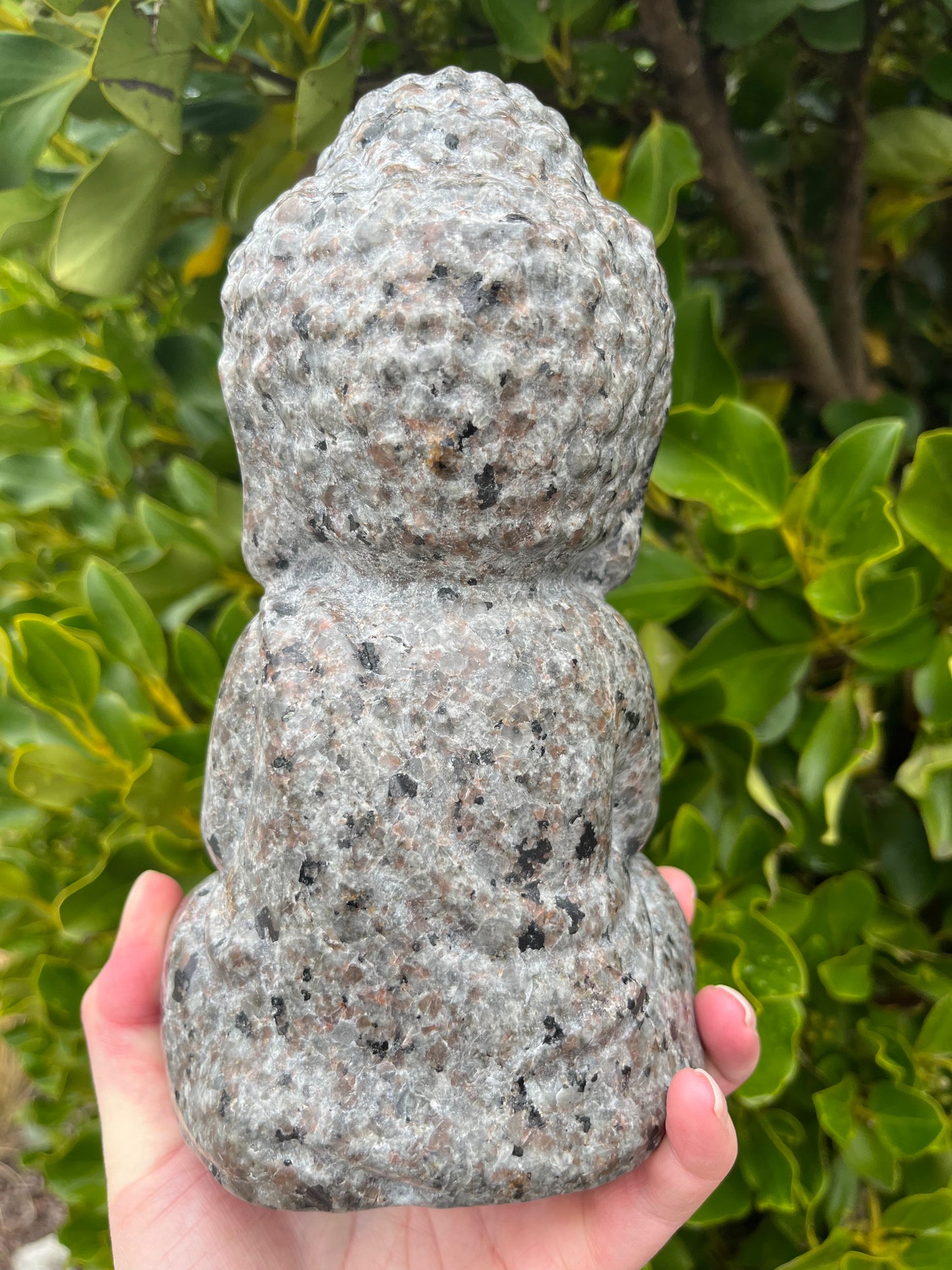 Yooperlite Buddha (2.5kgs)