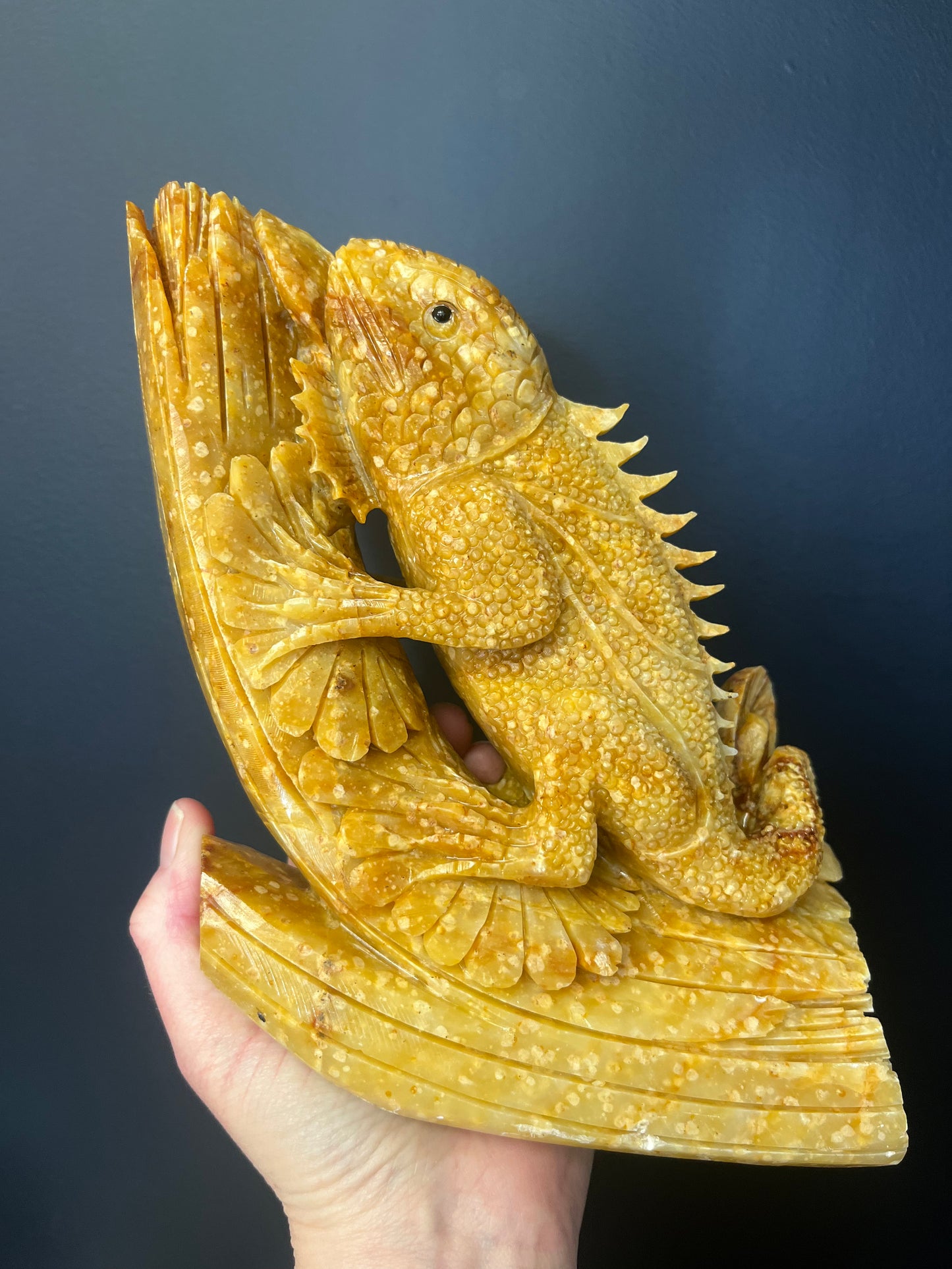 Jade Lizard (2886g)