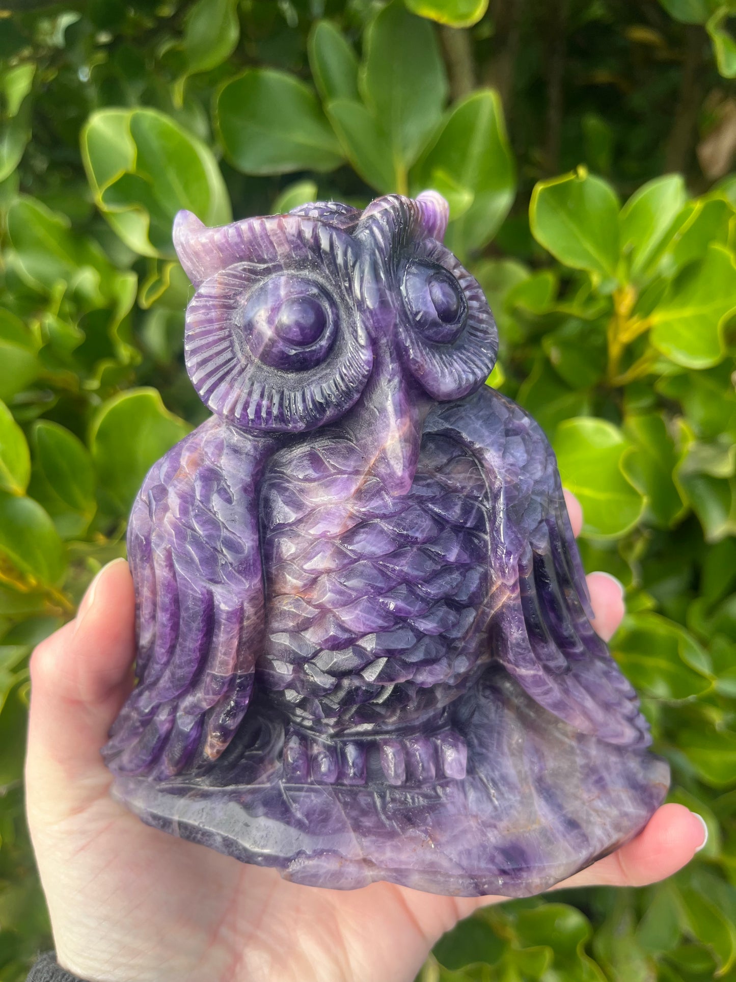 Amethyst Owl (832g)