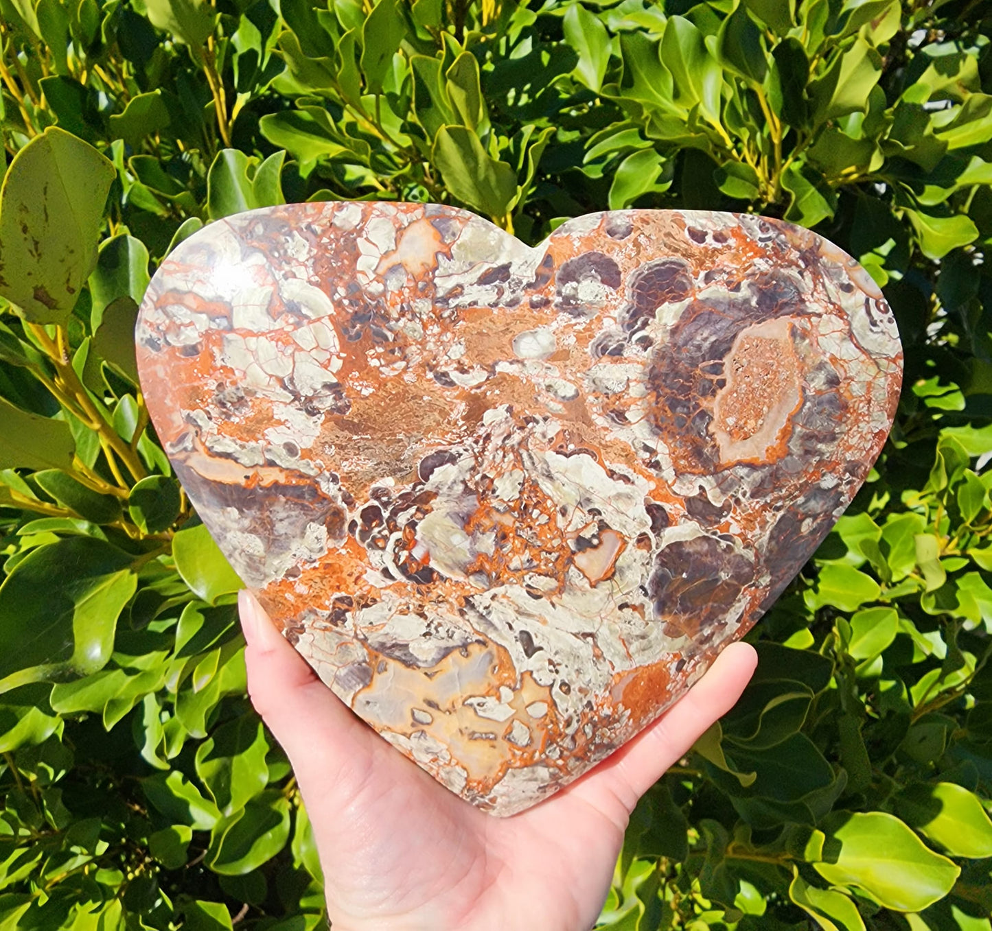 Money Agate Heart (1351g)