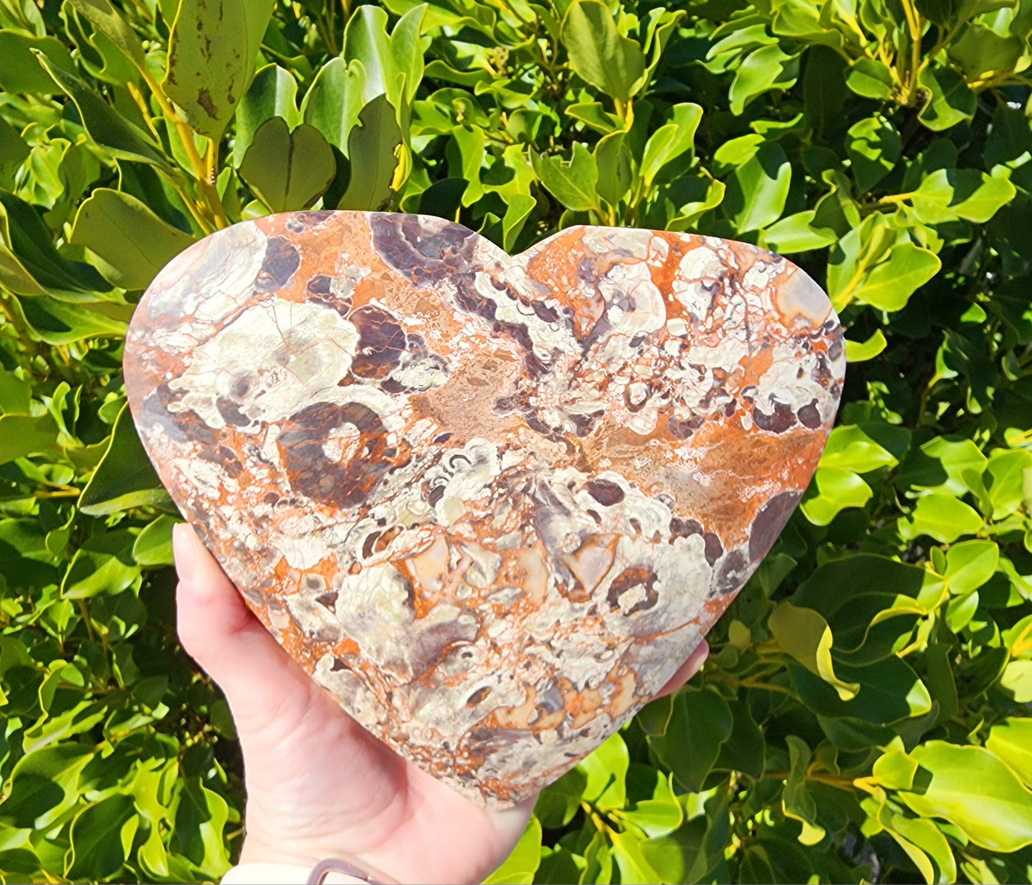 Money Agate Heart (1351g)