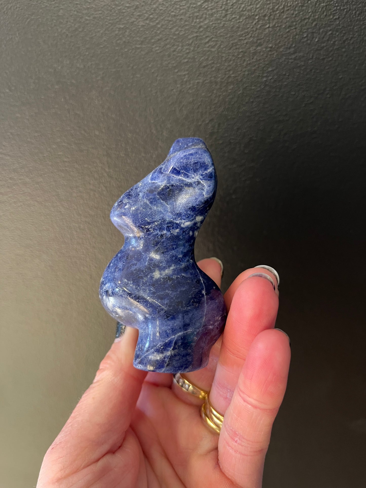 Sodalite Pregnant Body (153g)