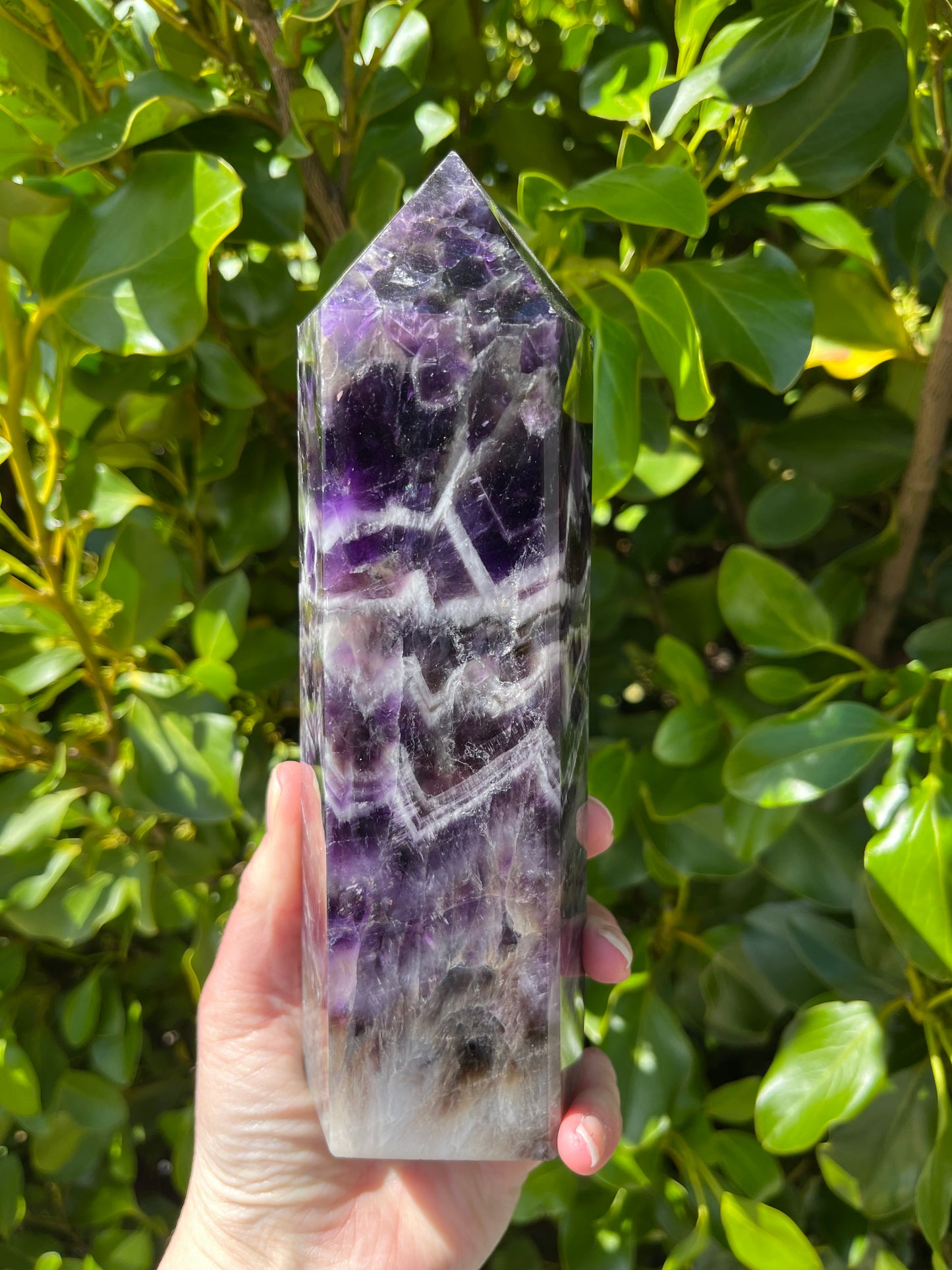 Dream Amethyst Tower (1197g)