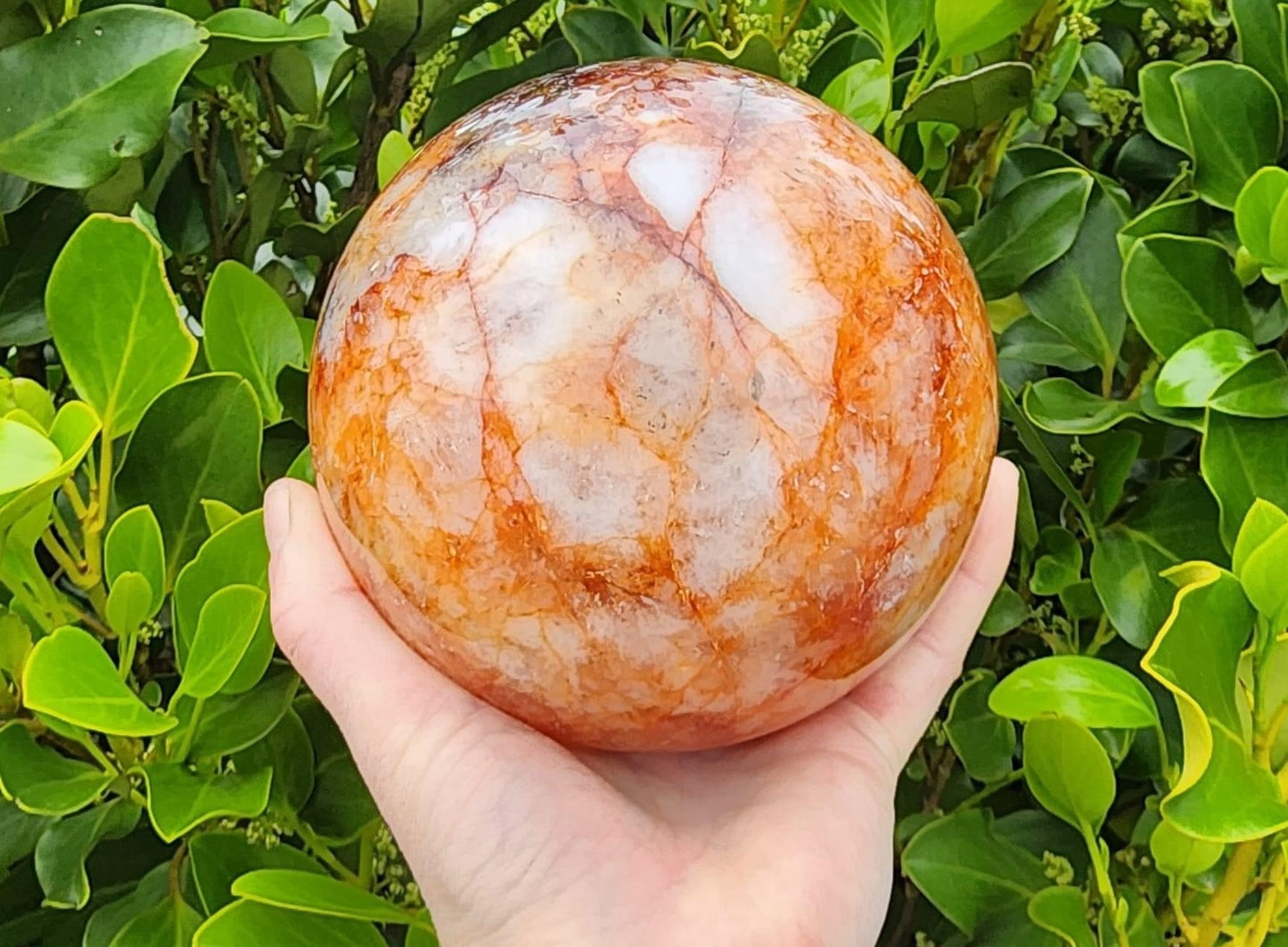 Fire Quartz Sphere (2410g)