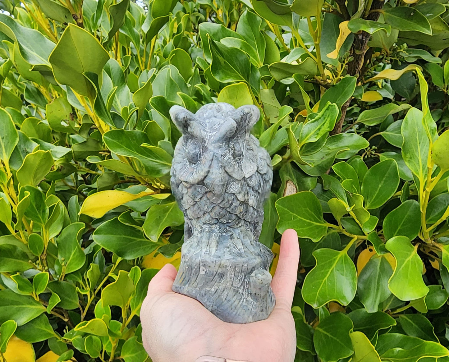 Labradorite Owl (654g)