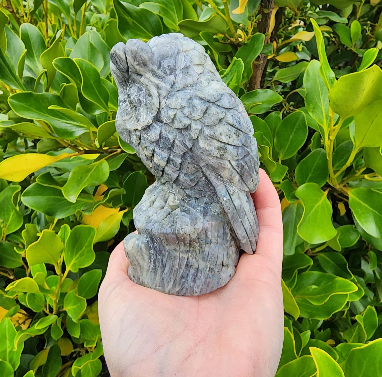 Labradorite Owl (654g)