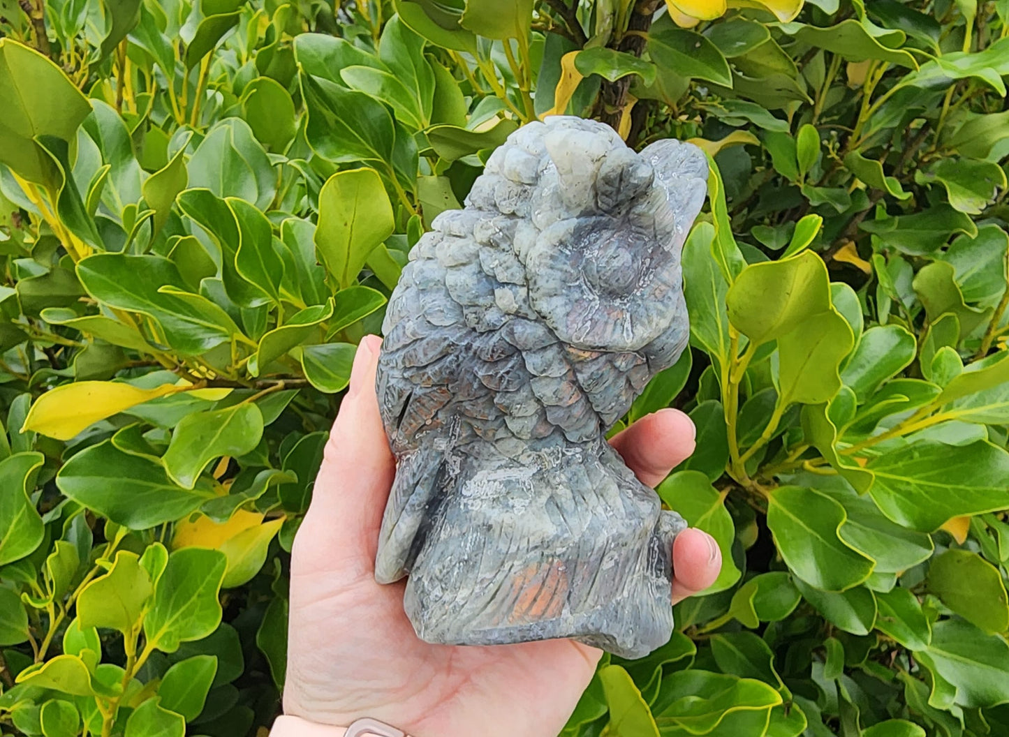 Labradorite Owl (654g)