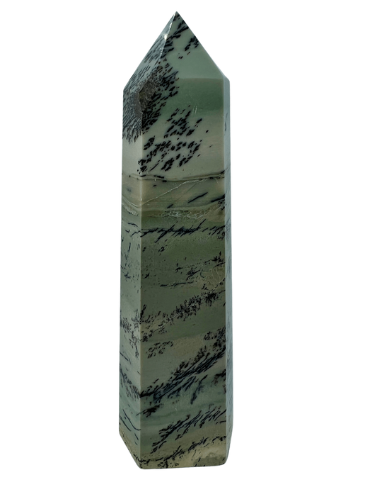 Picture Jasper Tower (532g)