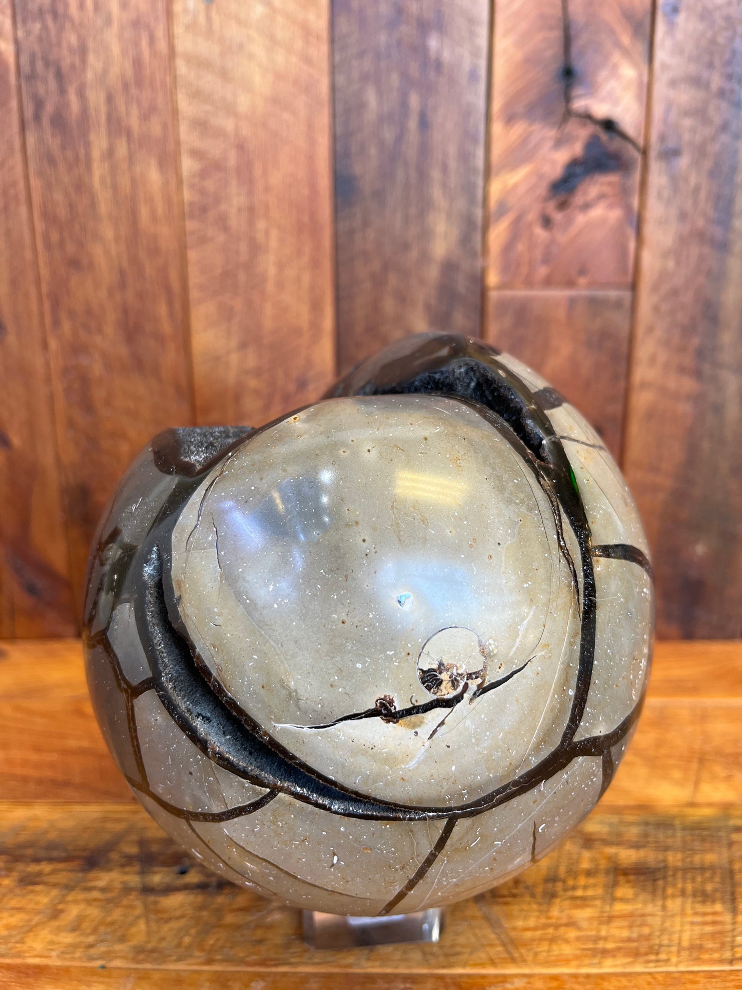 Septarian Sphere