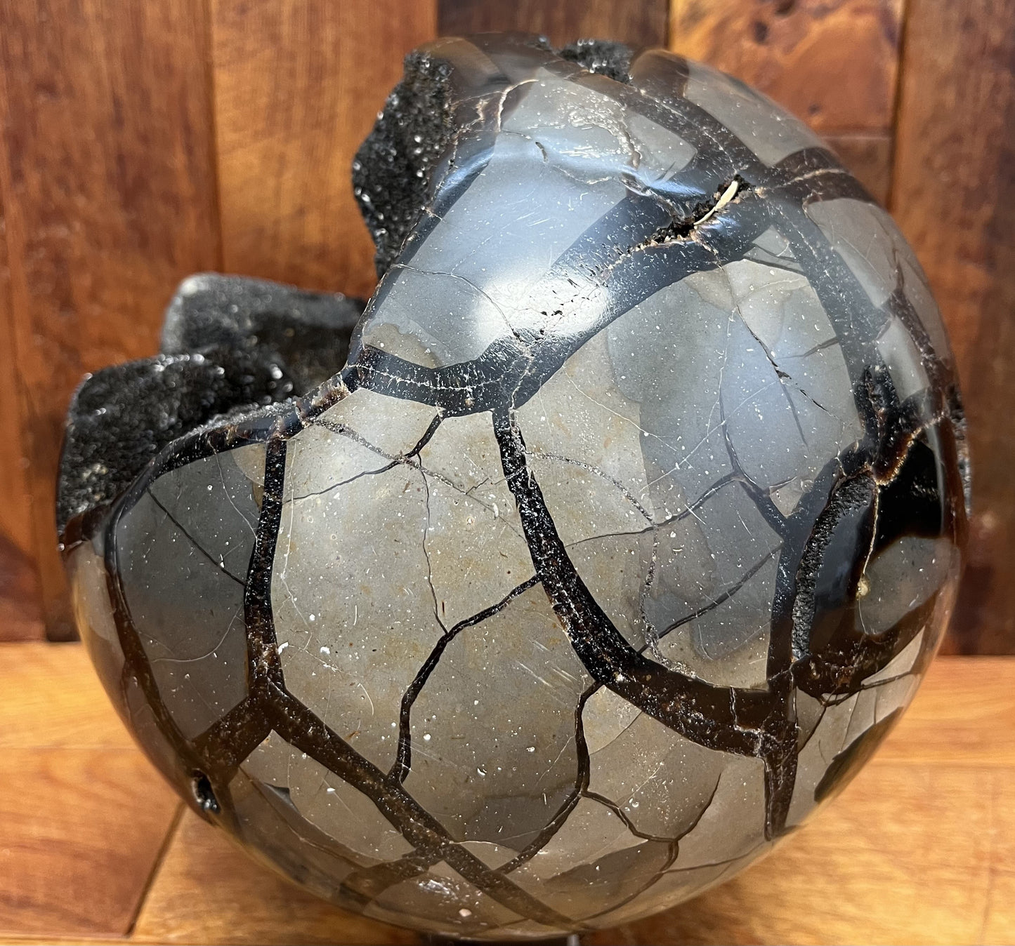 Septarian Sphere