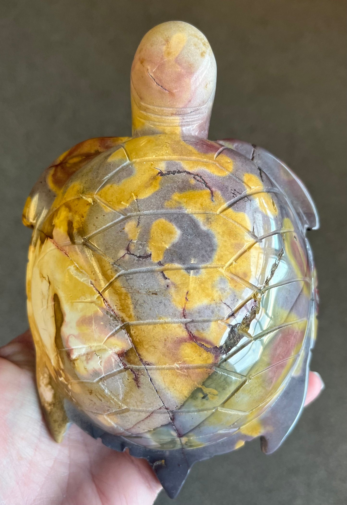 Mookaite Turtle (797g)