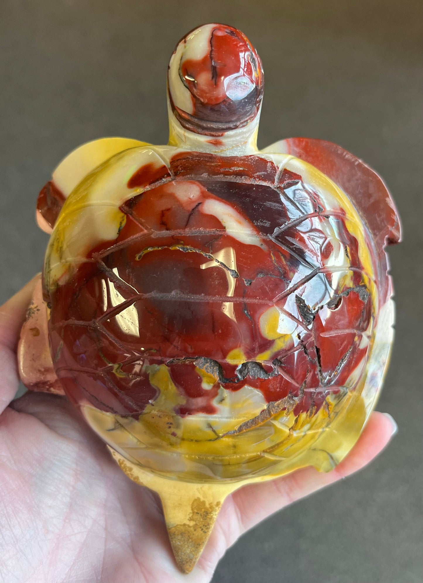 Mookaite Turtle (695g)