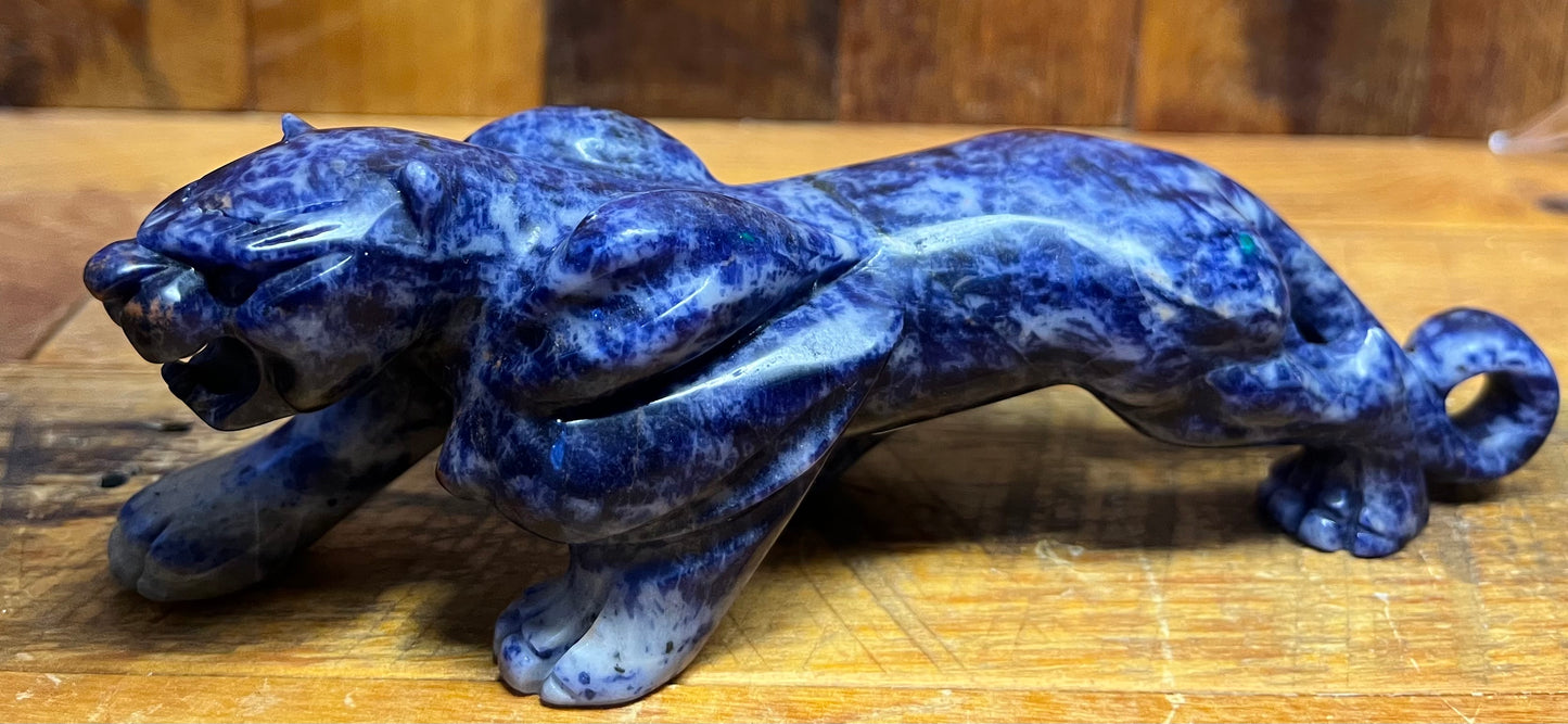 Sodalite Panther (326g)