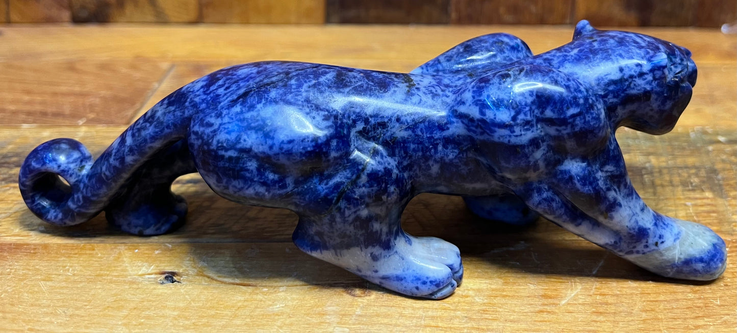 Sodalite Panther (326g)