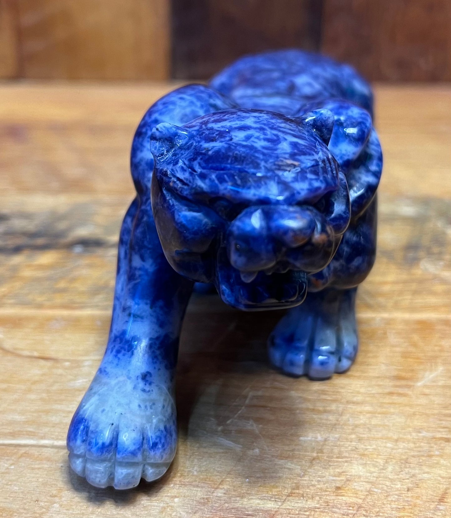 Sodalite Panther (326g)