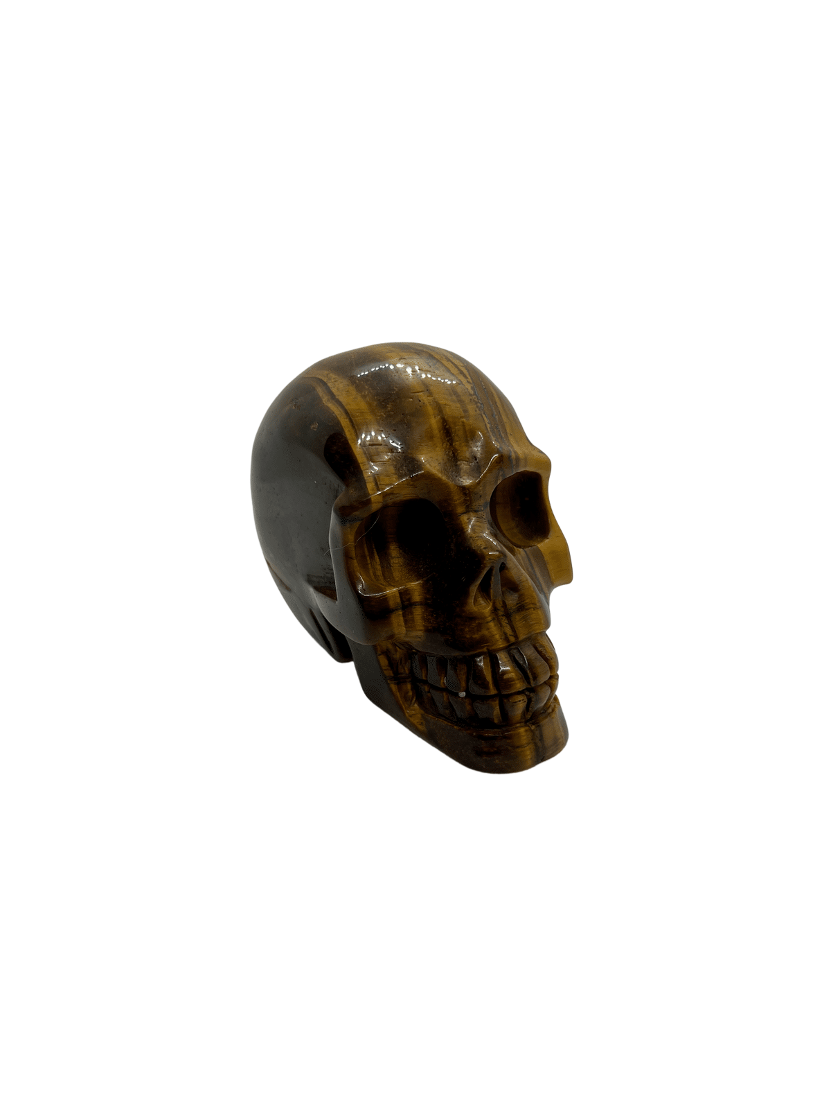 Tigers Eye Skull (563g)