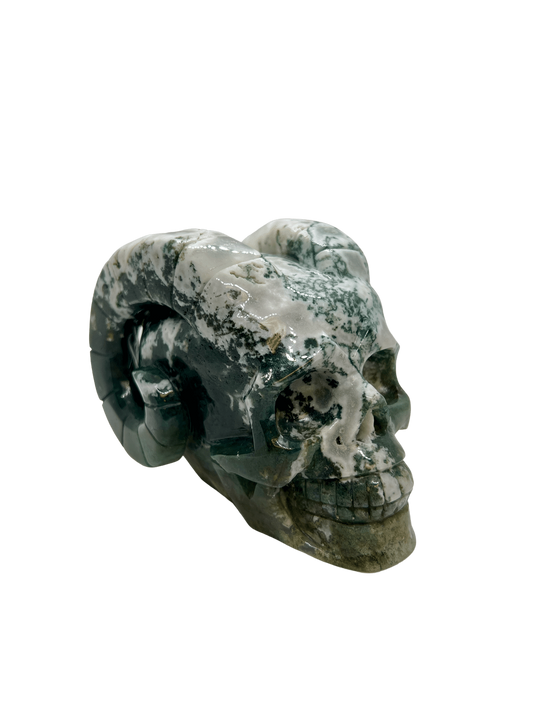 Moss Agate Skull (1.2kg)